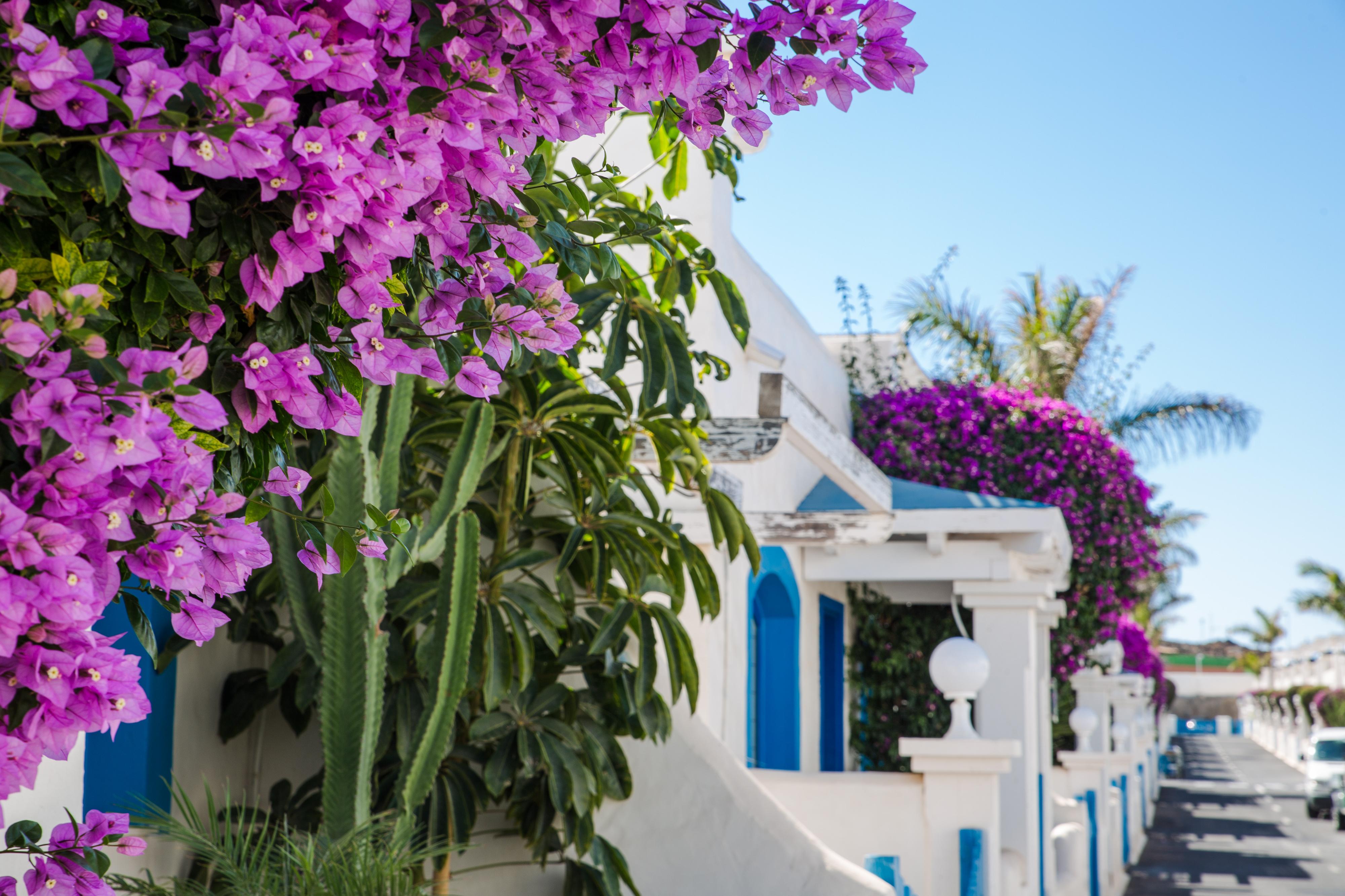 Bahiazul Resort Fuerteventura Corralejo Esterno foto